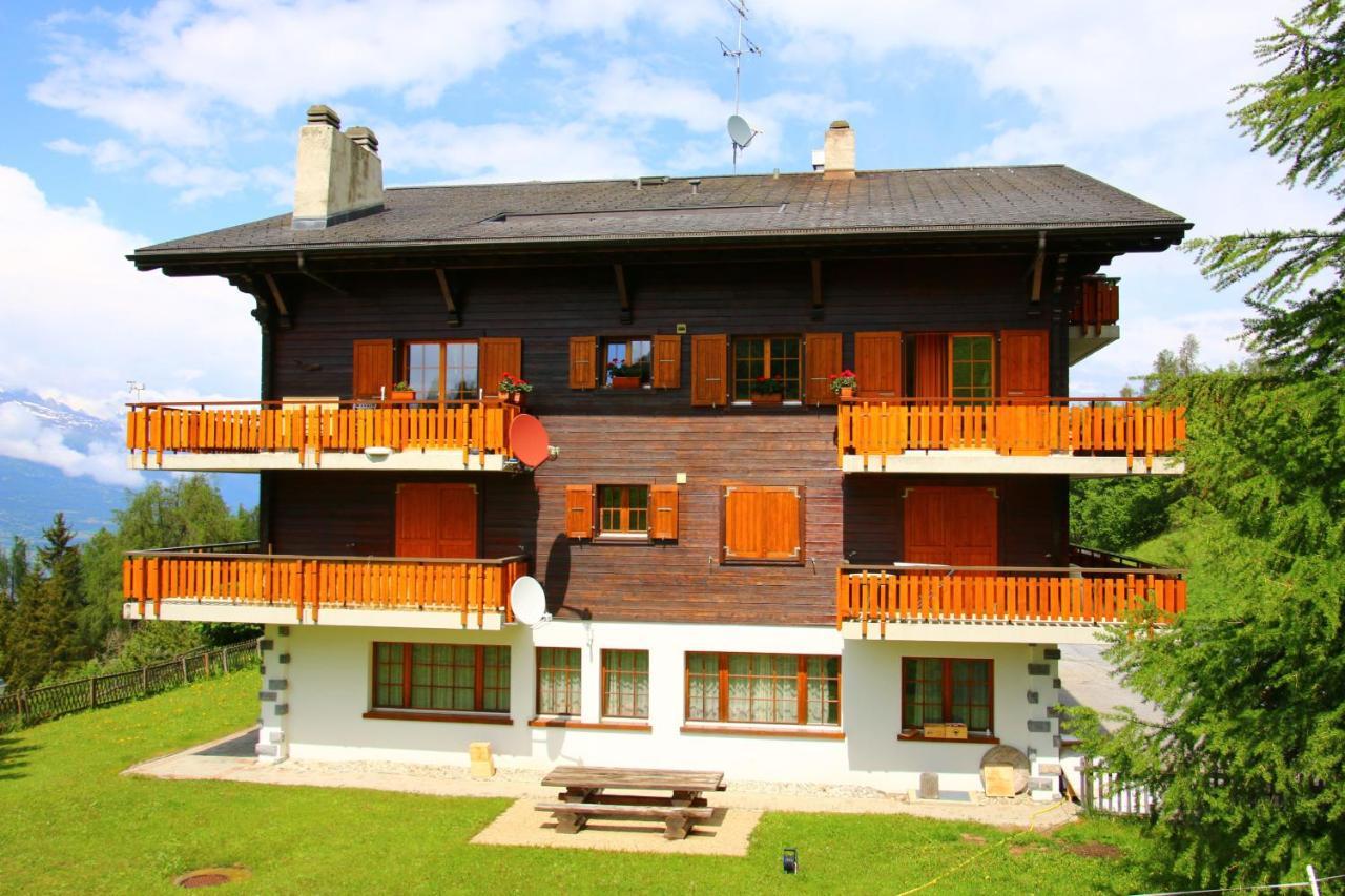 Mayens De L'Ours Mountain & Center Apartments By Alpvision Residences Agettes Екстер'єр фото